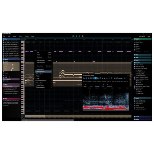 Hit'n'Mix RipX DAW Pro