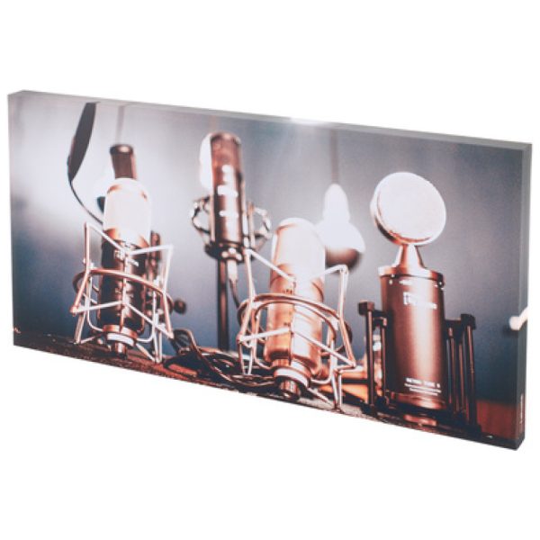 t.akustik Print Panel Shiny Mics t.akustik Print Panel Shiny Mics