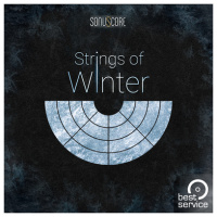 Best Service TO - Strings of Winter