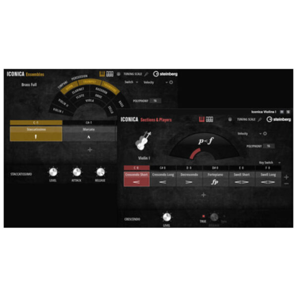Steinberg Iconica Ensembles