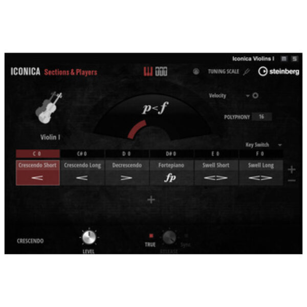 Steinberg Iconica Sections & Players