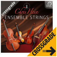 Best Service Chris Hein Ensemble Strings CG
