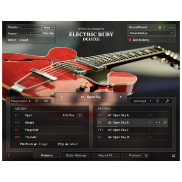 Native Instruments SG Electric Ruby Deluxe